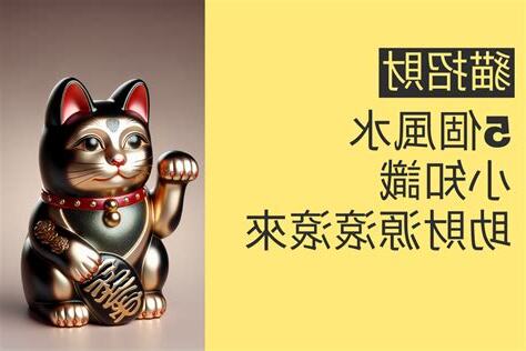 養 貓招財